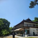 167 | 바닐라브릭 남양주 반려견동반카페 평일방문 후기
