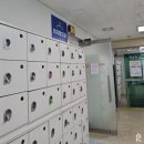 호계운동장 | [수영일기 #1] 자유형 1개월만에 가능한가(안양,호계 실내수영장 비교)