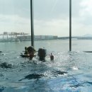오공당구장 | 김포 호텔마리나베이 주말 수영장 ~ 친구 꿀팁 덕에 제대로 여유롭게 즐긴 ㅎㅎ