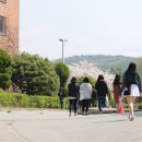 여주대학교 이미지