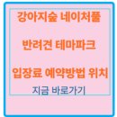 숲속에놀이터민박 | 춘천 반려견 강아지숲예약?동물파크놀이터 입장료 팁