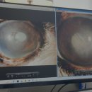 파리스동물병원 이미지