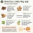 강화파라다이스주 | 파라다이스그레인 효능 내돈내산 후기 먹는법 가격 정리