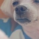 명품주방용품 이미지