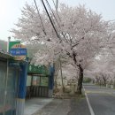 진주시-------월아산 국사봉(471m),장군대산(483m) 이미지