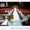 셀라띠 이미지
