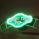 매직트리(MAGIC TREE) 로고