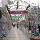 2007.12.10 ~ 11 무궁화호 특실 체험기. 이미지