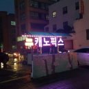 제주캐노픽스 이미지