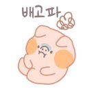 비바노래연습장 이미지