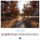 강당말공원 이미지