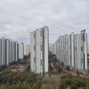 가까운세종충대약국 이미지