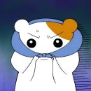 코실니트