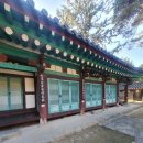 유림-1146 이미지