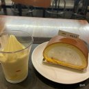 신논현 카공 폴바셋 교보문고 강남점
