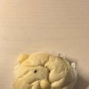 빵의향현 이미지