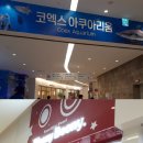 위니비니코엑스 이미지