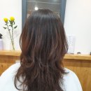 윤지영헤어 이미지