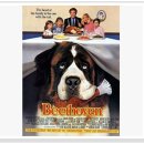 몽땅 펫샾 | 아직까지 내마음에 유쾌한기억을 간직하고 있는 영화 [베토벤]