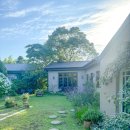 선흘정류장 이미지