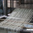 보성전삼베