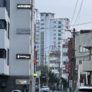 내돈내산| 동래, 명륜) 프랑스식 코스 요리를 선보이는 1인 레스토랑&#34; 쉐킴 &#34; (지극히 개인적인 후기)