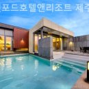 스탠포드호텔앤리조트 제주 네이버블로그