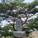 24년 6월 자문자답