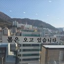 대향빌딩 이미지