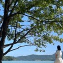 추동목장 이미지