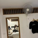 숲속으로 | [기록] 치앙마이 삼주살기 8.조용한 숲속으로(씨야어묵국수/FOHHIDE/럭스 투잇/호시하나리조트)