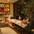 페토피아 동물병원 이미지