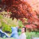 운일암반일암 야영장 | 남원 달궁자동차야영장 B8[142번째 캠핑 25.10.18]- 펜트 카라반 비앙코 셀렉션 465 SFB 68번째 출정