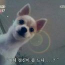 흐앤므 네이버블로그