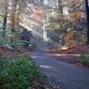 솔밭근린공원 이미지