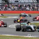 F1