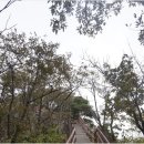 제163차 창립기념 정기산행 영광불갑산(연실봉;516m)&상사화 이미지