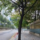 현산초등학교 이미지