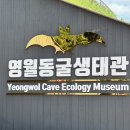 동굴생태관 화장실 이미지