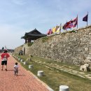 해미-비상-2 이미지