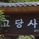 고당사 Daum카페