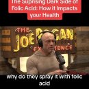 folic acid 합성엽산의 위험성 이미지