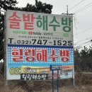 2336 | 인천 영종도 놀거리┃힐링해수방 프라이빗 찜질방 이색 데이트 내돈내산 후기