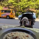 고양 원흥역 맛집 양동이 | 데이트 브런치 맛집 | 애견동반 | 파스타 및 드립커피 후기
