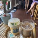 강생이천국 이미지