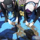 마린펜션 이미지