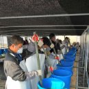 토끼사냥 이미지