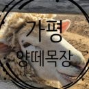 양평해장국설악점