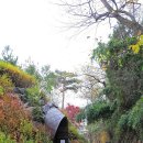 공세리 성지성당 박물관 이미지