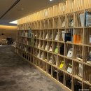 지에스25 도안파크투점 | 강원도, 정선 숙소추천: 파크로쉬 웰니스앤리조트 숙암트윈룸(수영장, 야외자쿠지, 요가클래스 등등 후기)